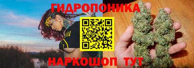 бошки Обнинск