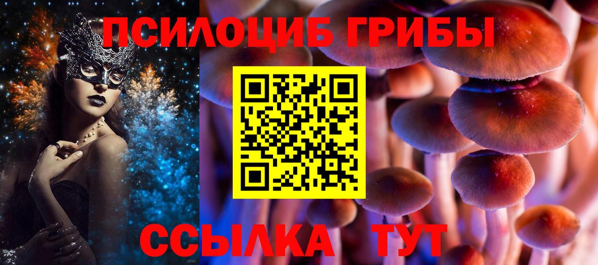 Пушкино  Псилоцибиновые грибы MAGIC MUSHROOMS  Вход с VPN 
